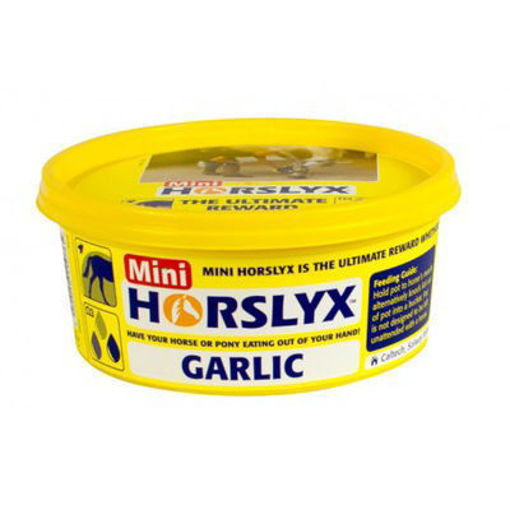Lizawka dla koni HORSLYX GARLIC